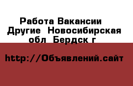 Работа Вакансии - Другие. Новосибирская обл.,Бердск г.